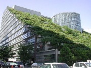 Altering the way businesses go green