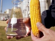 El bioetanol vive un momento dulce en Estados Unidos y otro más tormentoso en sus vecinos del sur