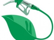 Biofuels could meet 80% of EU transport fuel needs by 2050