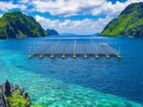 Conventional floating solar PV systems will fail when deployed in the ocean says SINN Power