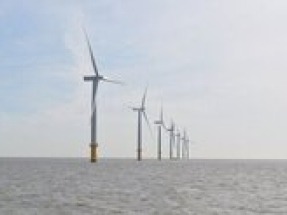 CIP and Ignitis Renewables wins Estonia