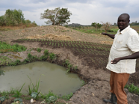 Azuri GrowFast solar irrigation system named winner of UN Uganda renewable energy fund