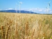 Time for presidential candidates to back American wind says new AWEA Chair