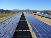 California first US state to generate more than 5 percent electricity from utility-scale solar