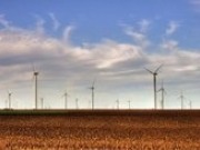 Renewable Energy Party established to lobby for Australian renewables sector