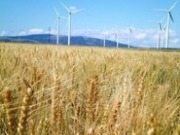 China will become leading wind power producer by 2016