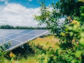 Low Carbon begins construction of four large-scale solar farms in the Netherlands