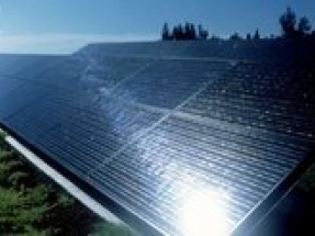 Apex Clean Energy to pursue 1 GW of solar potential on Weyerhaeuser land