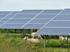 British Solar Renewables secures planning permission for Coldharbour Farm Solar Park  