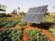 Dominican Republic can triple renewable energy share by 2030 finds IRENA report