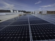 Trina Solar awarded EPC contract for Jordan