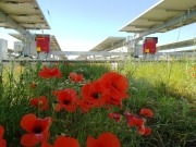 Soltec begins construction of 1 MW PV facility in Italy