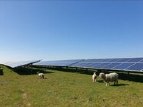 Vantage RE embarks on first solar builds in the UK 