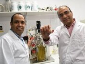 Flinders University discovers low-cost way to extract bioactives from single-cell algae oil