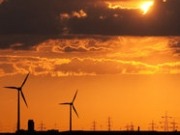 RSPB calls for renewed commitment to renewable energy by the UK Government