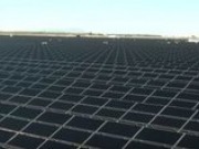 Tenaska’s second large-scale solar project begins commercial operation