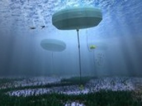 Carnegie Wave Energy receives ERDF grant for CETO project in the UK