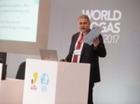 World Biogas Association celebrates its first birthday at COP23