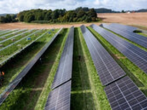 Swedish project for a fossil free and electrified vegetation maintenance in solar parks receives government funding