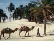 Italian delegation meets with  Tunisian officials on renewables projects