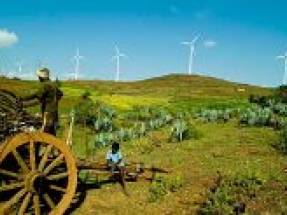 Wind energy could help India add 23.7 GW of clean capacity by 2026 says GWEC
