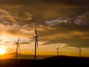 Global wind industry growing strongly, led by Asia