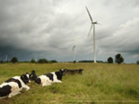 UK Government finally abandons opposition to onshore wind