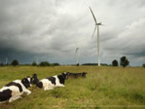 Vestas secures 68 MW auction win for three onshore wind projects in Poland