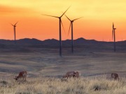 Building public support for renewable projects shouldn’t be a ‘Plan B’