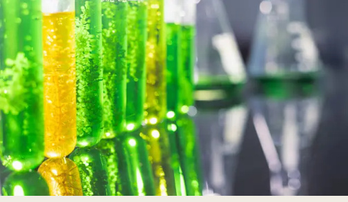 BIMCO Adopts Biofuel Clause to Support Transition to Low-Carbon Fuels