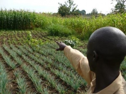 Industry welcomes G20 endorsement of biofuels