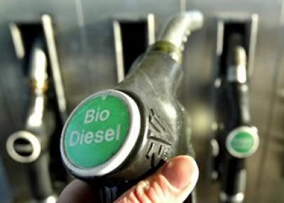 Blending mandates and tax incentives critical to biofuels roll-out