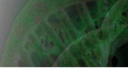 Keclon, an Argentinian biodiesel technology developer, completes seed financing round