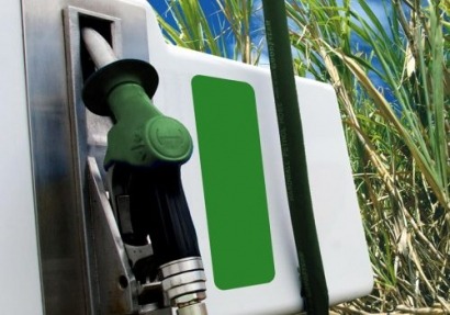 Biofuels in Mexico: the foundations for an unborn industry