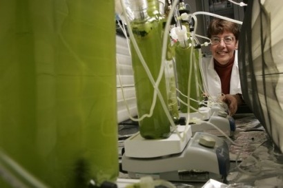 Biofuels from algae pose sustainability concern, US study finds