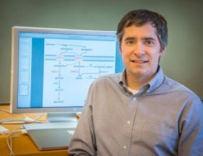 Metabolic Path to Improved Biofuel Production