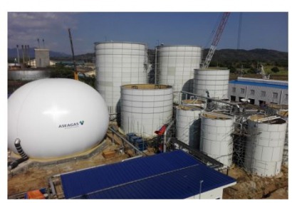 AboitizPower to Expand RE Portfolio with Biomass