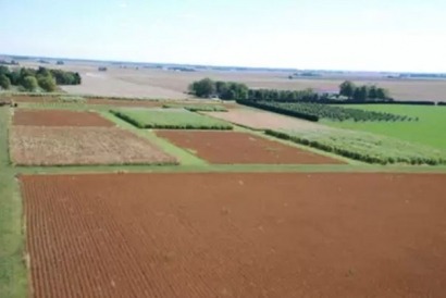 University of Illinois energy farm to get biomass boiler