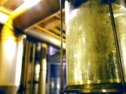 El Medio Oeste duplicará su presencia en el etanol en 2021