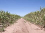 Problemas para uno de los esquemas de sostenibilidad aprobados por la CE