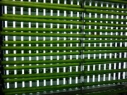 Endesa to test carbon capture using microalgae