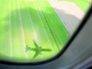 Thomson becomes first airline to fly customers on biofuel