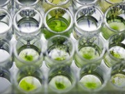 European partnership to unlock the potential of algal bioenergy