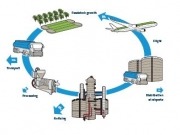 Asian governments encouraged to embrace aviation bio-fuel development
