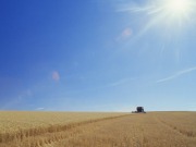 La UE tendrá en cuenta el cambio indirecto del uso del suelo de los biocarburantes