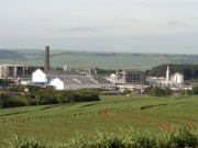 Ethanol industry growth prompts Nova Fronteira to quadruple sugarcane crushing operations