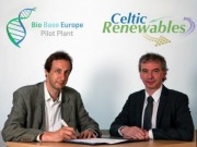 Subproductos de la industria del whisky inician el camino hacia los vehículos