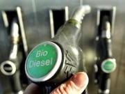 Blending mandates and tax incentives critical to biofuels roll-out