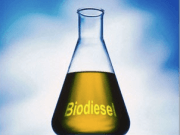 La US recurre a microorganismos para producir biodiésel de forma más limpia