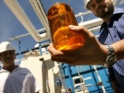 Biodiesel production will increase more than 20% in 2011